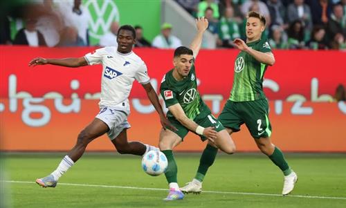 Vfl 沃爾夫斯堡 vs tsg 霍芬海姆